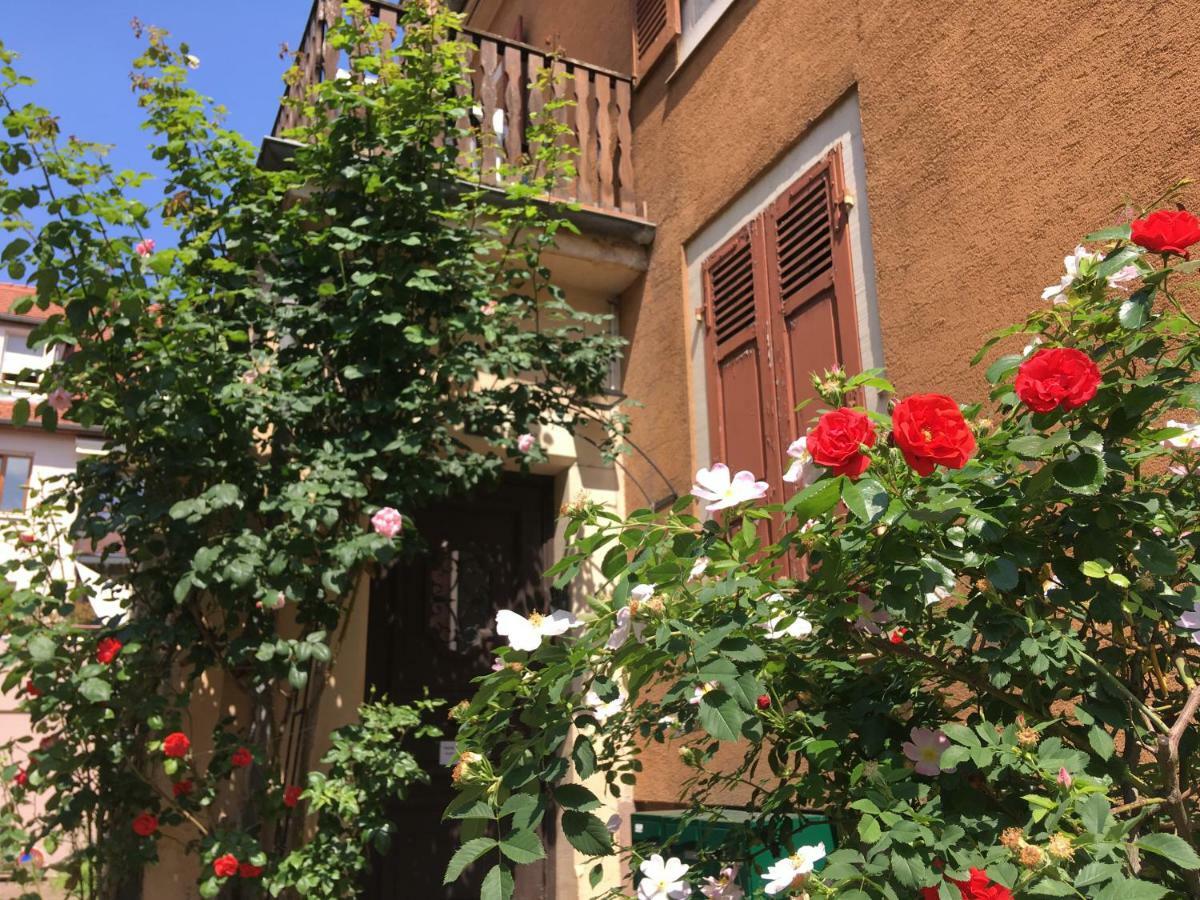 Finala Appartement